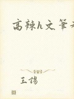 高辣h文笔趣阁