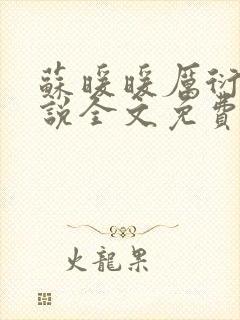 苏暖暖厉衍琛小说全文免费阅读