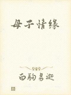 母子情缘