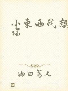 小东西我想弄坏你