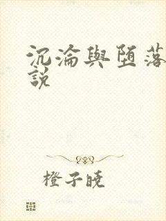 沉沦与堕落的小说