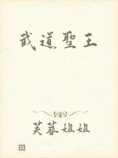 武道圣王