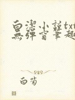 白洁小说txt无弹窗笔趣阁