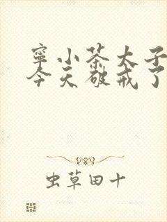 宁小茶太子殿下今天破戒了吗免费阅读