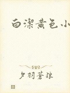 白洁黄色小说