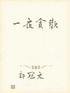一夜贪欢
