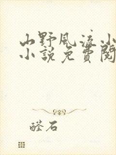 山野风流小神医小说免费阅读