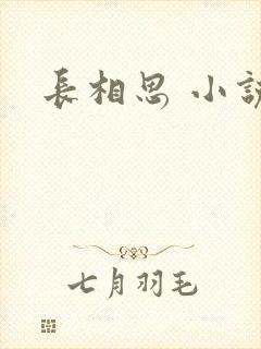 长相思 小说