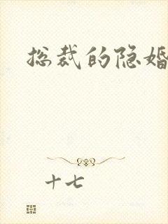 总裁的隐婚新娘