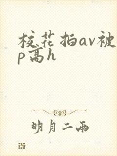 校花拍av被np高h