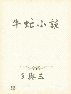牛虻小说