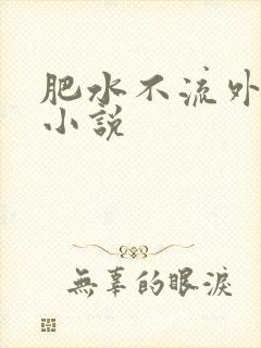 肥水不流外人田小说