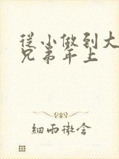 从小做到大骨科兄弟年上