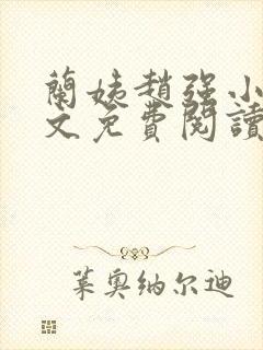 兰姨赵强小说全文免费阅读