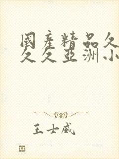 国产精品久久久久久亚洲小说