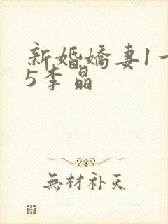 新婚娇妻1一25李晶