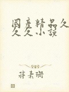 国产精品久久久久久小说