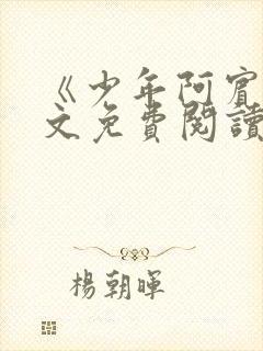 《少年阿宾》全文免费阅读