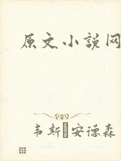 原文小说网