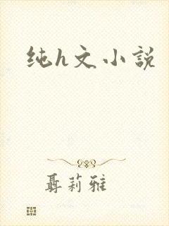 纯h文小说