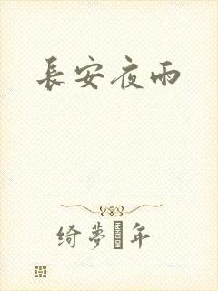 长安夜雨