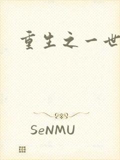 重生之一世枭雄