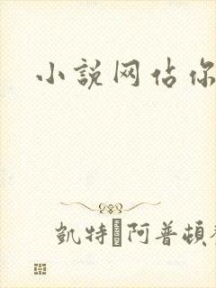 小说网站你懂的