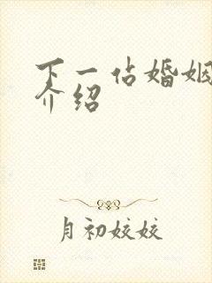 下一站婚姻剧情介绍