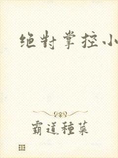 绝对掌控小说