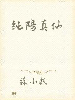 纯阳真仙