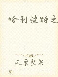 哈利波特之守护