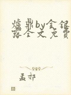 炉鼎by金银花露全文免费阅读笔趣阁