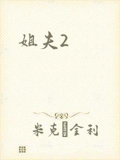 姐夫2