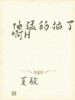 他猛的插了进去啊H