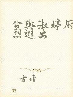 公与淑婷厨房猛烈进出