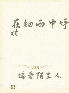 在细雨中呼喊txt