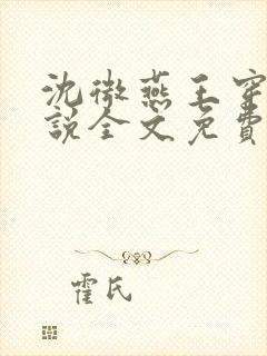 沈微燕王穿越小说全文免费阅读