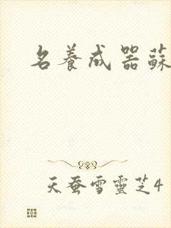 名养成器苏沫沫