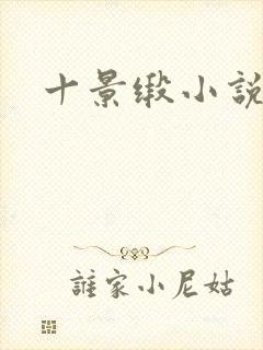 十景缎小说