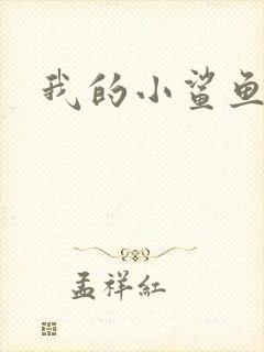 我的小鲨鱼