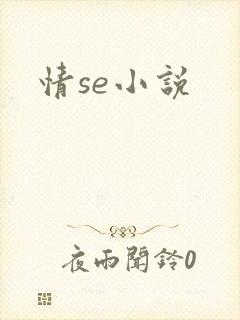 情se小说