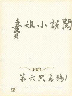 妻姐小说阅读免费