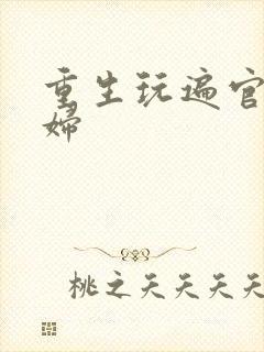 重生玩遍官场贵妇