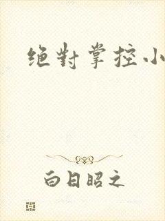 绝对掌控小说