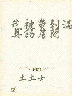 我被带到满是玩具的房间