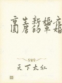 重生新婚夜正在圆房的军婚