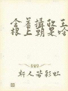 含着摄政王的紫根上朝是啥小说