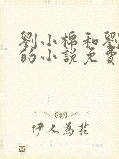 刘小棉和刘易文的小说免费阅读