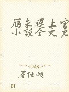 雁未迟上官穿越小说全文免费阅读