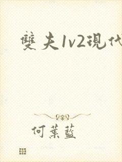 双夫1v2现代